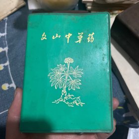 文山中草药