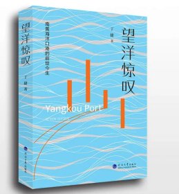 望洋惊叹——南黄海洋口港的前世今生   丁捷著  河海大学出版社