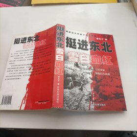 刘邓大军征战亲历记