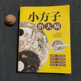 小方子治大病 中医书籍养生偏方大全民间老偏方美容养颜常见病防治 保健食疗偏方秘方大全小偏方老偏方中医健康养生保健疗法