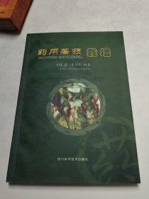 藥用薯蕷栽培（實(shí)物拍照
