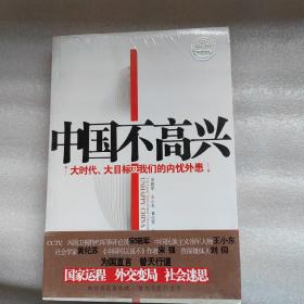 中国不高兴：大时代大目标及我们的内忧外患