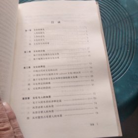 文化是什么（精装）