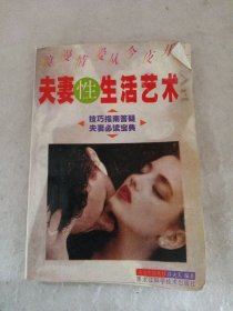 夫妻性生活艺术