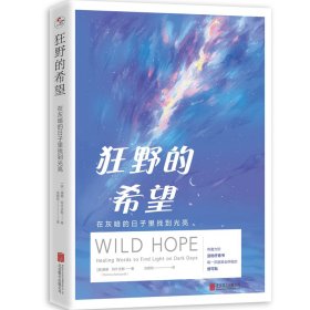 狂野的希望 在灰暗的子里找到光亮 成功学 (英)唐娜·阿什沃斯