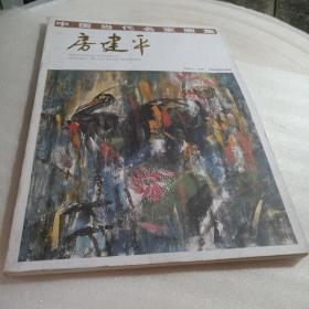 正版实拍:房建平/中国当代名家画集