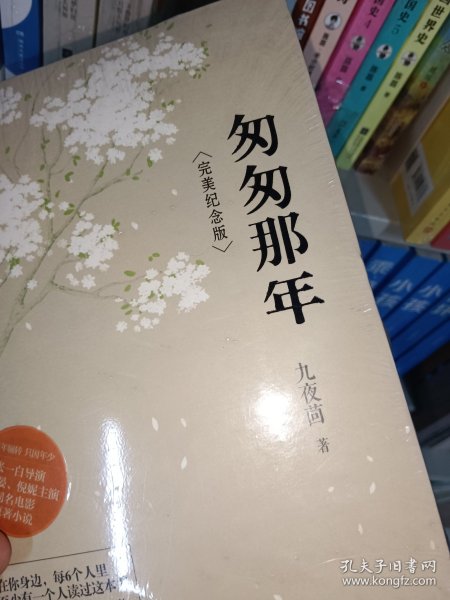 匆匆那年：完美纪念版