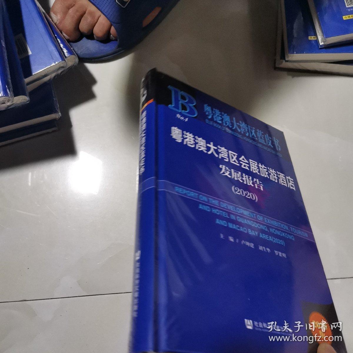 粤港澳大湾区会展旅游酒店发展报告(2020)