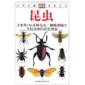 自然珍藏DK图鉴--昆虫(全世界550多种昆虫 蜘蛛和陆生节肢动物的