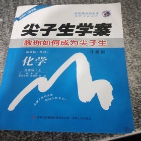 尖子生学案：九年级化学上（新课标粤科 彩绘版 含教材习题答案）