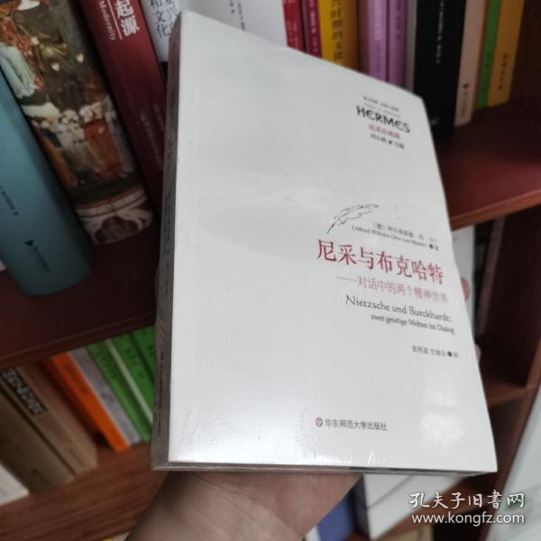 尼采与布克哈特：对话中的两个精神世界（经典与解释）