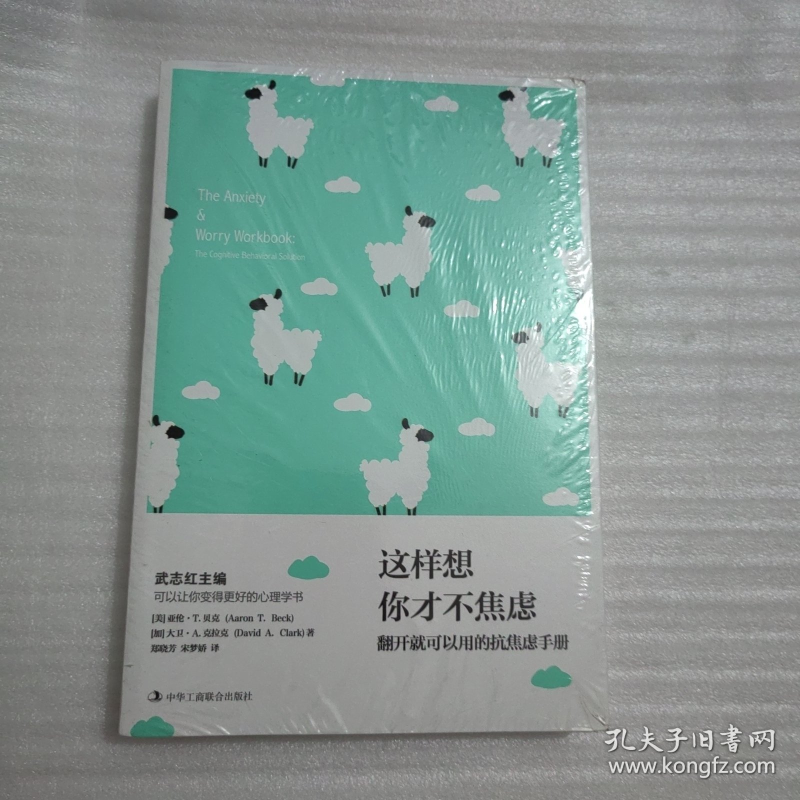 这样想 你才不焦虑 翻开就能用的抗焦虑手册