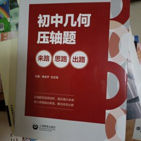 未用过 初中几何压轴题：来路、思路、出路