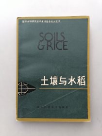 土壤与水稻