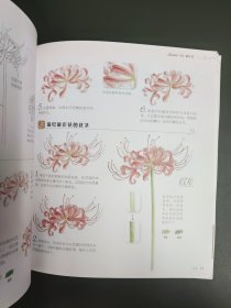 花之绘 ·38种花的色铅笔图绘