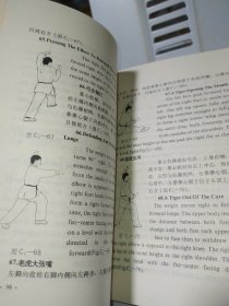 传统少林拳套路教程 第二、三卷【2册合售】