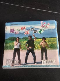 《歌舞 路边的野花不要采》VCD，顾杰，乐敏，真真，山东文化音像出版发行