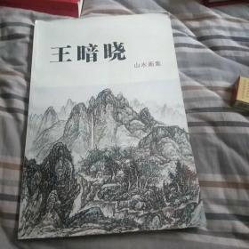 王暗晓山水画集(大八开)