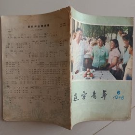 辽宁青年（1978年6期）总129期