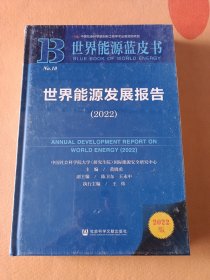 世界能源蓝皮书：世界能源发展报告（2022）