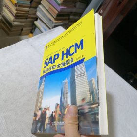 SAP HCM顾问进阶金领指南