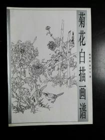 收藏品  美术书籍 菊花白描画谱  实物照片品相如图