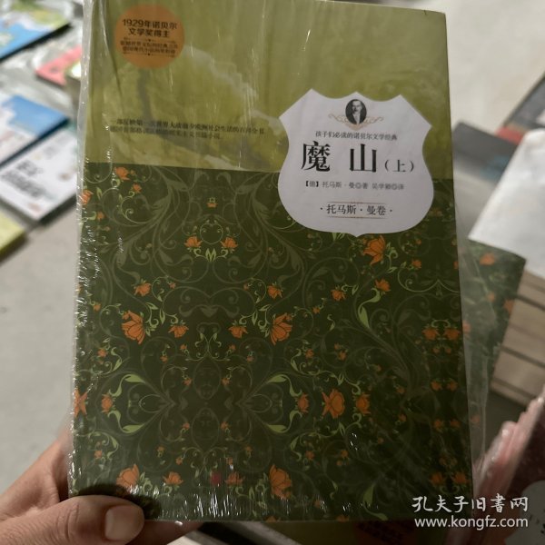 魔山（孩子们必读的诺贝尔文学经典）