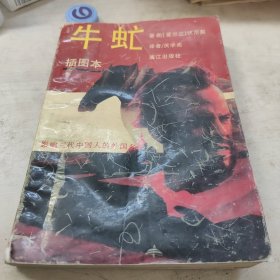 牛虻