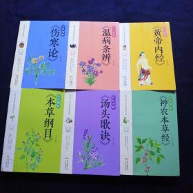 彩色图解《黄帝内经》《温病条辨》《伤寒论》《本草纲目》《汤头歌诀》《神农本草经》