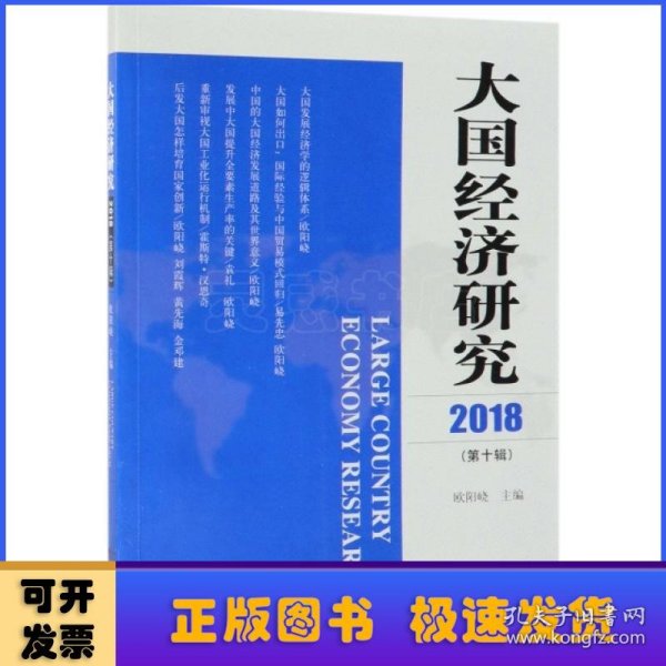 大国经济研究（2018年第10辑）