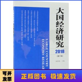 大国经济研究（2018年第10辑）