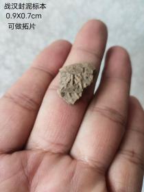 秦汉封泥标本