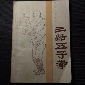 三路五子拳--少林武术集锦