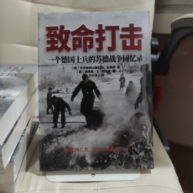 致命打击：一个德国士兵的苏德战争回忆录