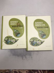 海绵城市系统化方案编制理论与实践(上下)