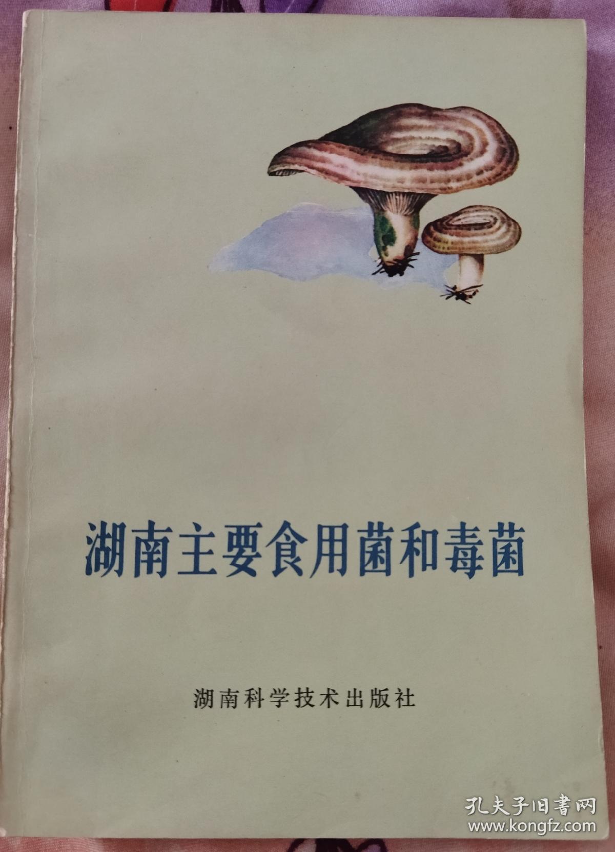 湖南主要食用菌和毒菌（附彩图50幅，黑白图71幅）