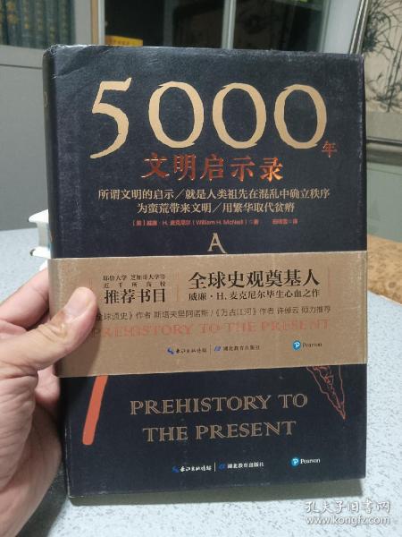 5000年文明启示录（比肩《全球通史》，世界近千所高校历史学推荐书目）