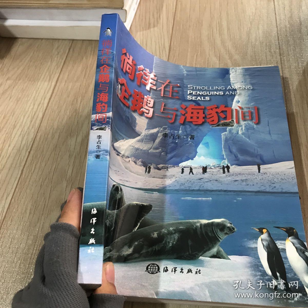 徜徉在企鹅与海豹间