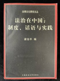 法治在中国：制度、话语与实践