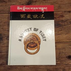 西藏概况画册精装