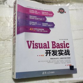 软件开发实战：Visual Basic开发实战