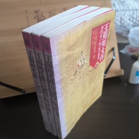 王阳明大传：知行合一的心学智慧 上中下