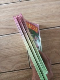 天才白痴十三招