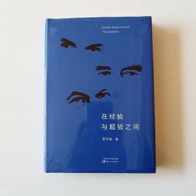 在经验与超验之间
