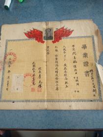 毕业证，1956年，红旗，齐全