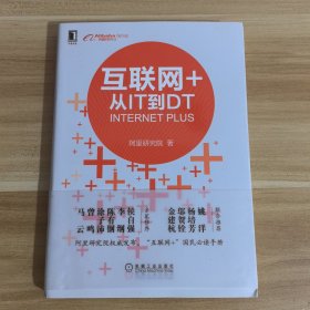 互联网+：从IT到DT