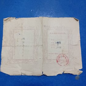 50年代平湖县乍浦镇小学咐设幼儿在园情况报告表，有校长和主任印章