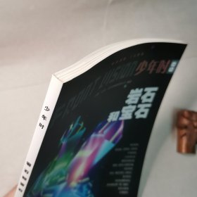 少年时68:岩石和宝石