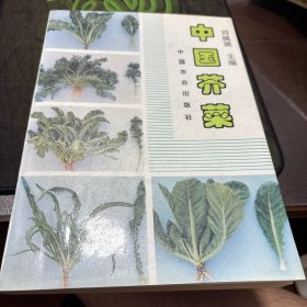 中國芥菜