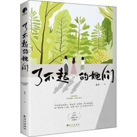 了不起的她们（知名情感小说作家&金牌编剧未夕代表作《糟糠之妻》全新修订版）